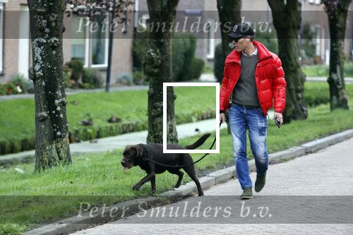 Mijdrecht 9 oktober 2020
Rogier Smit woont tijdelijk bij Rachel hazes met zijn hond.