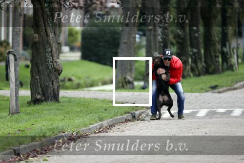 Mijdrecht 9 oktober 2020
Rogier Smit woont tijdelijk bij Rachel hazes met zijn hond.