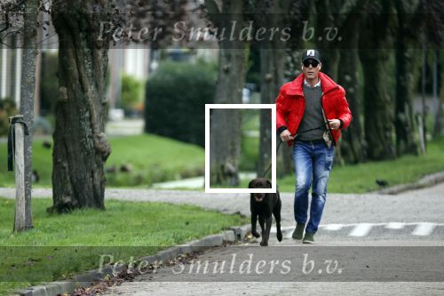 Mijdrecht 9 oktober 2020
Rogier Smit woont tijdelijk bij Rachel hazes met zijn hond.
