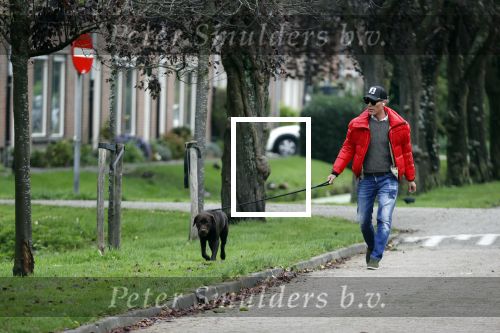 Mijdrecht 9 oktober 2020
Rogier Smit woont tijdelijk bij Rachel hazes met zijn hond.