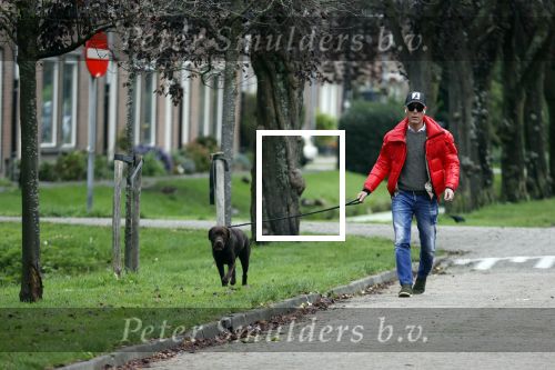Mijdrecht 9 oktober 2020
Rogier Smit woont tijdelijk bij Rachel hazes met zijn hond.