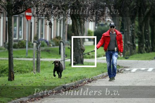 Mijdrecht 9 oktober 2020
Rogier Smit woont tijdelijk bij Rachel hazes met zijn hond.