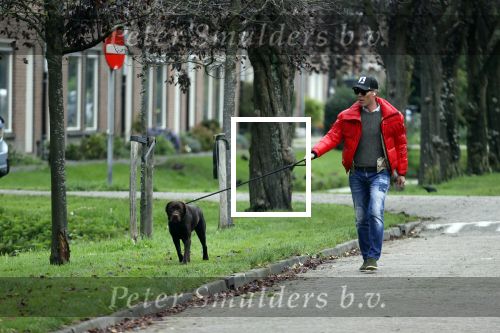 Mijdrecht 9 oktober 2020
Rogier Smit woont tijdelijk bij Rachel hazes met zijn hond.