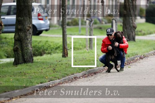 Mijdrecht 9 oktober 2020
Rogier Smit woont tijdelijk bij Rachel hazes met zijn hond.