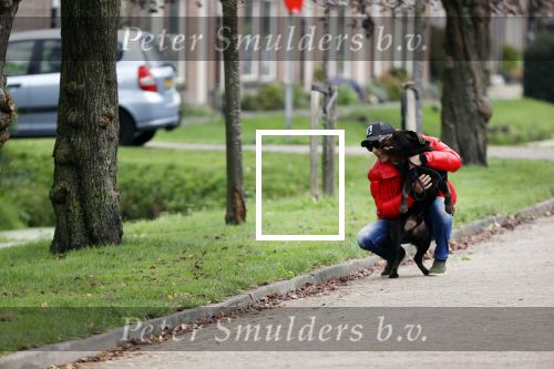 Mijdrecht 9 oktober 2020
Rogier Smit woont tijdelijk bij Rachel hazes met zijn hond.