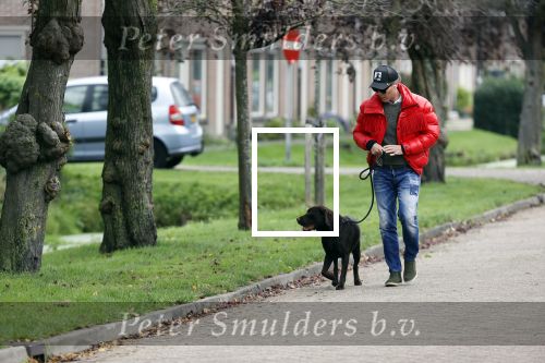 Mijdrecht 9 oktober 2020
Rogier Smit woont tijdelijk bij Rachel hazes met zijn hond.