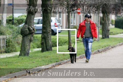 Mijdrecht 9 oktober 2020
Rogier Smit woont tijdelijk bij Rachel hazes met zijn hond.