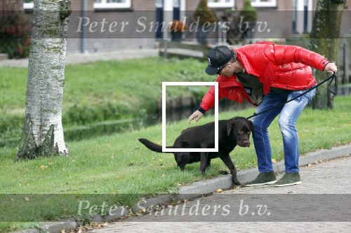 Mijdrecht 9 oktober 2020
Rogier Smit woont tijdelijk bij Rachel hazes met zijn hond.