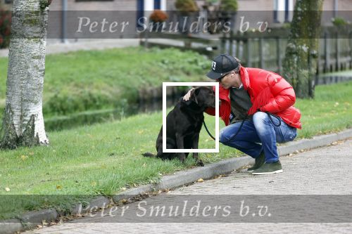Mijdrecht 9 oktober 2020
Rogier Smit woont tijdelijk bij Rachel hazes met zijn hond.