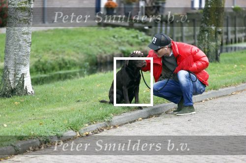 Mijdrecht 9 oktober 2020
Rogier Smit woont tijdelijk bij Rachel hazes met zijn hond.