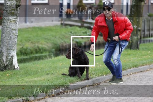 Mijdrecht 9 oktober 2020
Rogier Smit woont tijdelijk bij Rachel hazes met zijn hond.