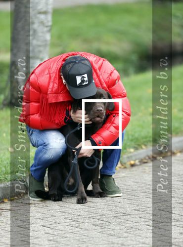 Mijdrecht 9 oktober 2020
Rogier Smit woont tijdelijk bij Rachel hazes met zijn hond.