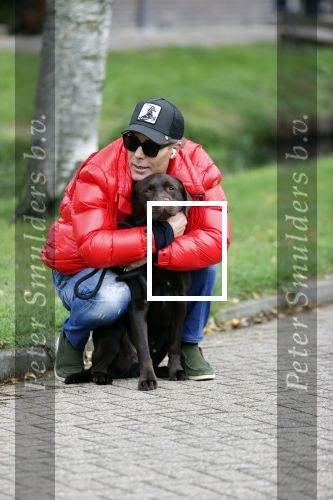Mijdrecht 9 oktober 2020
Rogier Smit woont tijdelijk bij Rachel hazes met zijn hond.