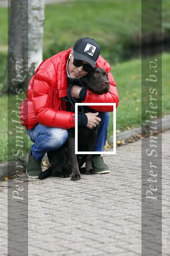 Mijdrecht 9 oktober 2020
Rogier Smit woont tijdelijk bij Rachel hazes met zijn hond.