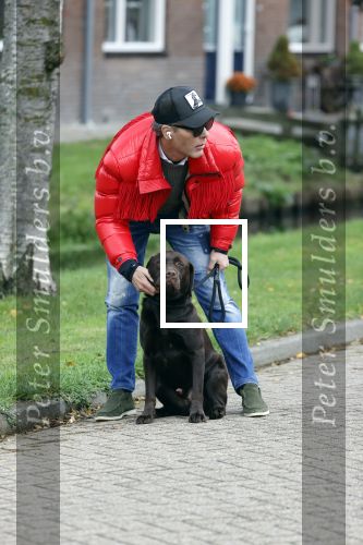 Mijdrecht 9 oktober 2020
Rogier Smit woont tijdelijk bij Rachel hazes met zijn hond.
