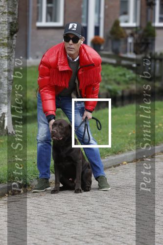 Mijdrecht 9 oktober 2020
Rogier Smit woont tijdelijk bij Rachel hazes met zijn hond.