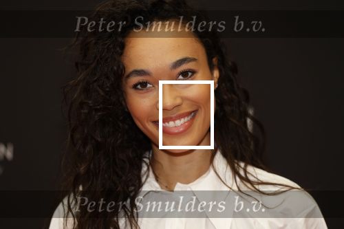 Amsterdam 5 oktober 2020
Bijeenkomst influencers inzake free a girl in hotel Krasnapolsky. Romy Monteiro