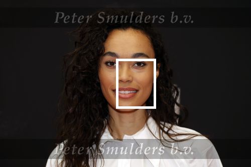 Amsterdam 5 oktober 2020
Bijeenkomst influencers inzake free a girl in hotel Krasnapolsky. Romy Monteiro