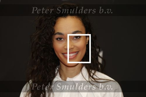 Amsterdam 5 oktober 2020
Bijeenkomst influencers inzake free a girl in hotel Krasnapolsky. Romy Monteiro