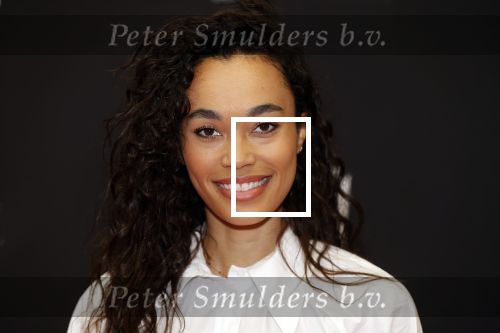 Amsterdam 5 oktober 2020
Bijeenkomst influencers inzake free a girl in hotel Krasnapolsky. Romy Monteiro