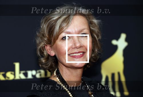 Utrecht 2 oktober 2020
Uitreiking gouden kalveren in de schouwburg van Utrecht.
Roos Ouwehand