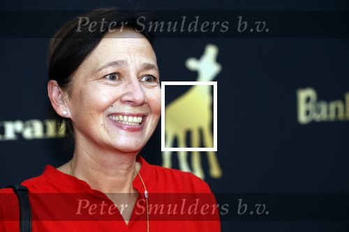 Utrecht 2 oktober 2020
Uitreiking gouden kalveren in de schouwburg van Utrecht. Sandra Beerends