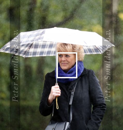 Naarden 8 oktober 2020
Begrafenis Jan des Bouvrie  op algemene begraafplaats Nieuw Valkeveen.
Simone Kleinsma