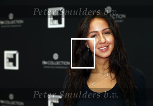 Amsterdam 5 oktober 2020
Bijeenkomst influencers inzake free a girl in hotel Krasnapolsky.
Sophie Milzink