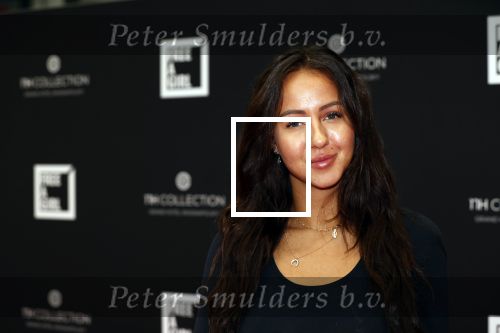 Amsterdam 5 oktober 2020
Bijeenkomst influencers inzake free a girl in hotel Krasnapolsky.
Sophie Milzink