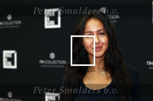 Amsterdam 5 oktober 2020
Bijeenkomst influencers inzake free a girl in hotel Krasnapolsky.
Sophie Milzink