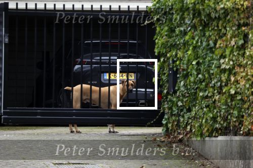 Berkel en Roderijs 23 oktober 2021
Huis van Andre Hazes waar Monique Westenberg en hun zoon Andre jr wonen