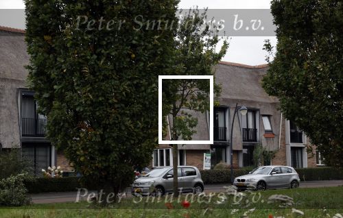 Amersfoort 20 oktober 2021
E.v.t. nieuw huis voor Annechien Steenhuizen 
Zij heeft hier naar gekeken