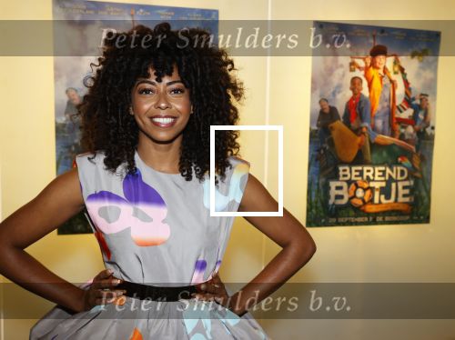 Amsterdam 26 september 2021
Premiere Berend Botje in pathe arena .