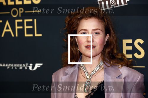 Amsterdam 1 november 2021
Premiere alles op tafel in het deLamar theater.
Britt Lagcher