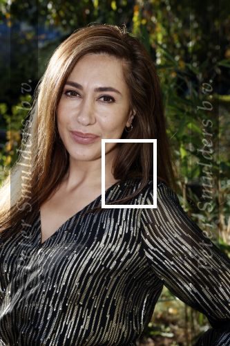 Amsterdam 1 november 2021
Lunch en uitreiking stong woman award in apollo hotel. Fidan Ekiz werd winnaar
