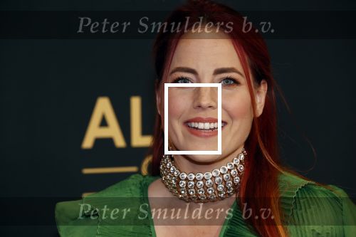Amsterdam 1 november 2021
Premiere alles op tafel in het deLamar theater.
Marije Knevel
