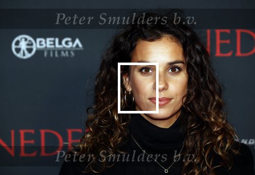 Amsterdam 12 oktober 2021
Premiere Benedetta  in Tuschinski. paul Verhoeven is de regisseur. Ortal Vriend