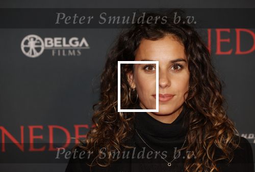 Amsterdam 12 oktober 2021
Premiere Benedetta  in Tuschinski. paul Verhoeven is de regisseur. Ortal Vriend