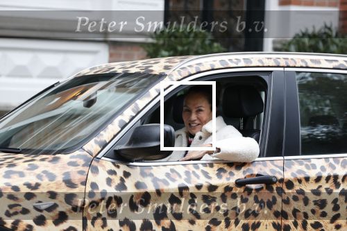 Amsterdam 16 november 2021]
Patty Brard in haar tijger print gewrapte auto