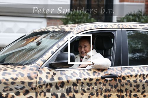 Amsterdam 16 november 2021]
Patty Brard in haar tijger print gewrapte auto