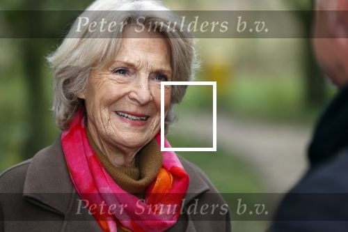 Alphen aan de Rijn 10 november 2021
Prinses Irene opent de Nationale Boomfeestdag. Samen met haar zoon prins Carlos, haar dochter prinses Margarita, schoondochter Viktoria en kleinkinderen plantte ze een Levensboom (een populier) in haar eigen Prinses IreneBos. Sterre Koning trad op .