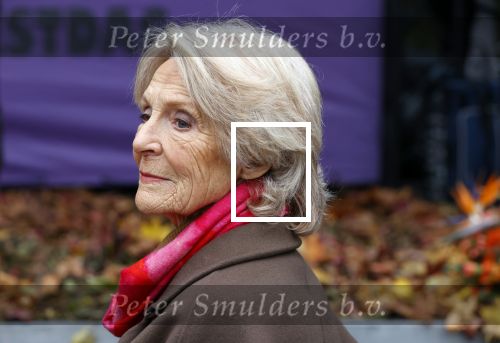 Alphen aan de Rijn 10 november 2021
Prinses Irene opent de Nationale Boomfeestdag. Samen met haar zoon prins Carlos, haar dochter prinses Margarita, schoondochter Viktoria en kleinkinderen plantte ze een Levensboom (een populier) in haar eigen Prinses IreneBos. Sterre Koning trad op .