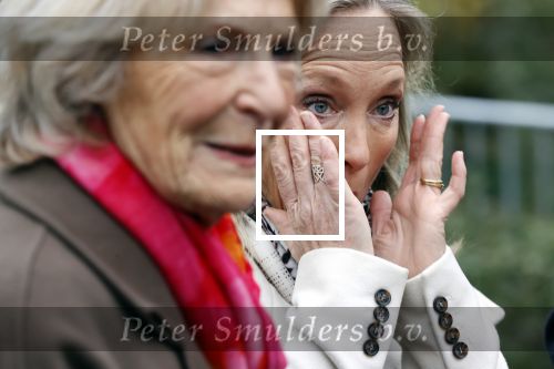 Alphen aan de Rijn 10 november 2021
Prinses Irene opent de Nationale Boomfeestdag. Samen met haar zoon prins Carlos, haar dochter prinses Margarita, schoondochter Viktoria en kleinkinderen plantte ze een Levensboom (een populier) in haar eigen Prinses IreneBos. Sterre Koning trad op .