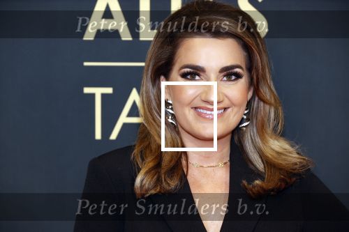 Amsterdam 1 november 2021
Premiere alles op tafel in het deLamar theater.
Sieneke