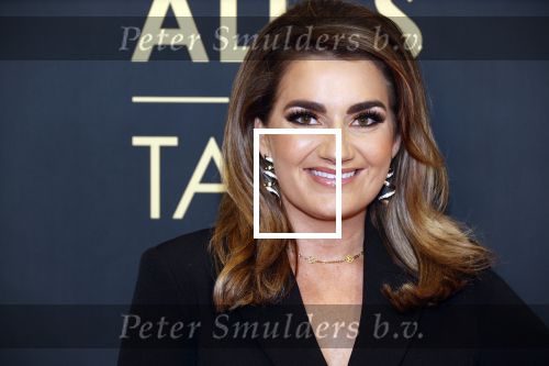 Amsterdam 1 november 2021
Premiere alles op tafel in het deLamar theater.
Sieneke