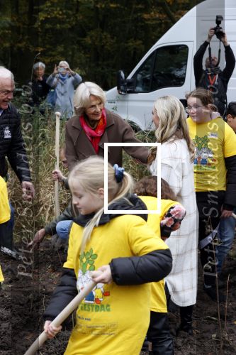 Alphen aan de Rijn 10 november 2021
Nationale Boomfeestdag met oa Sterre Koning en band Friday .