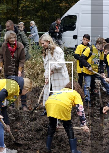 Alphen aan de Rijn 10 november 2021
Nationale Boomfeestdag met oa Sterre Koning en band Friday .