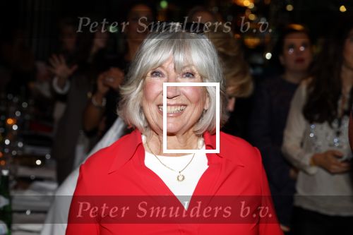 Amsterdam 1 november 2021
Lunch en uitreiking stong woman award in apollo hotel. Willeke Alberti