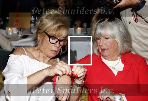 Amsterdam 1 november 2021
Lunch en uitreiking stong woman award in apollo hotel. Willeke Alberti