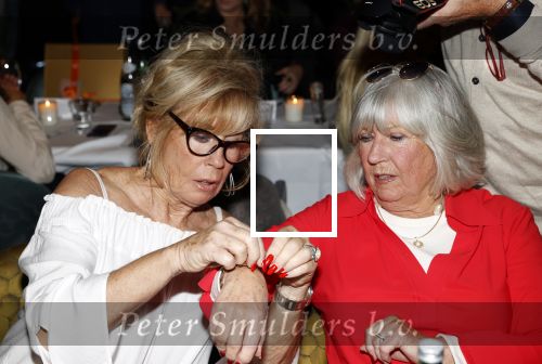 Amsterdam 1 november 2021
Lunch en uitreiking stong woman award in apollo hotel. Willeke Alberti
